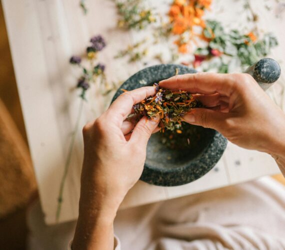 Hands preparing dried medicinal herbs in a mortar for herbal remedies